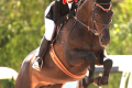 Zodoctro-Sold-Jumper-WEF-2013-(1)