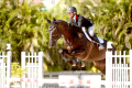 Zodoctro-Sold-Jumper-WEF-2013-(2)