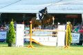 Zuara-Mare-2004-Jumper-for-sale-Pic-1