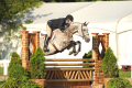 Zybon-Gelding-2004-Hunter-for-sale-KY-Pic1