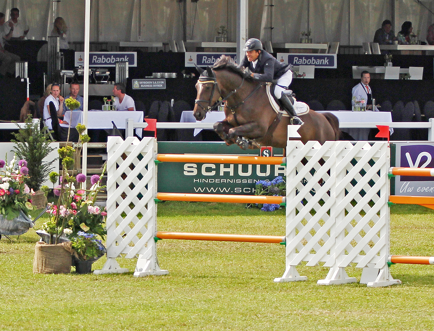 Jumper, hunter and Equitation horses for sale European sporthorses