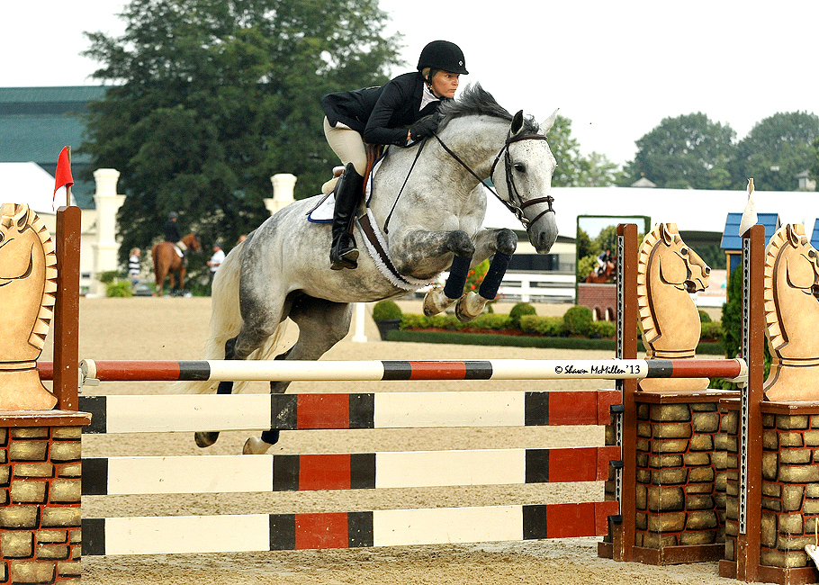 MarebyIndorado2008KYJumperHunterforsalePic2